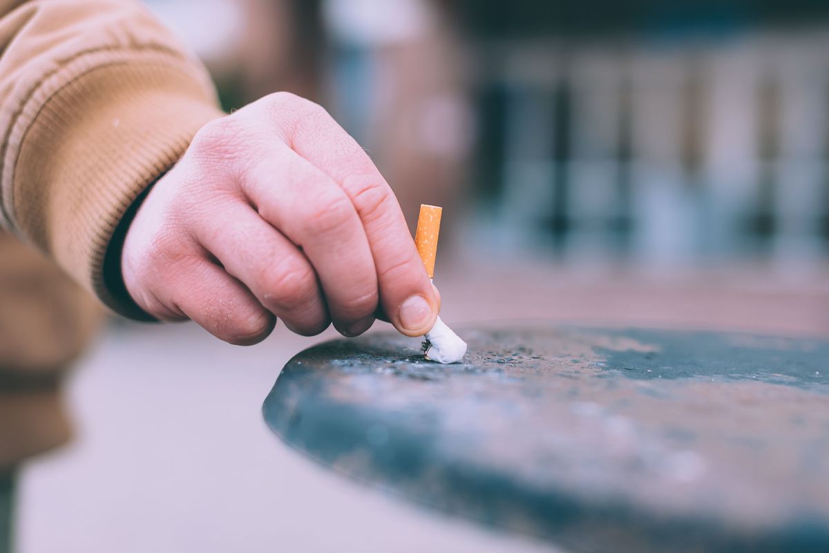 6 sir 2025 gm tabacco