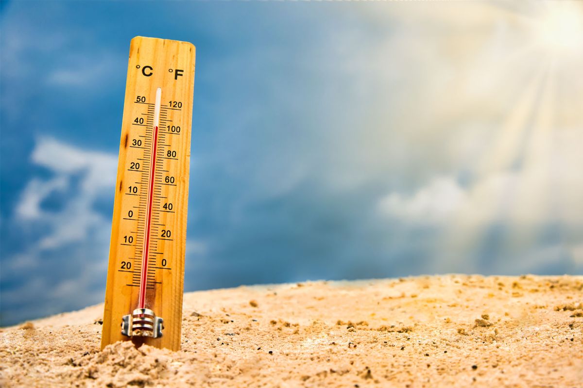 8 sir 2025 cambiamento climatico