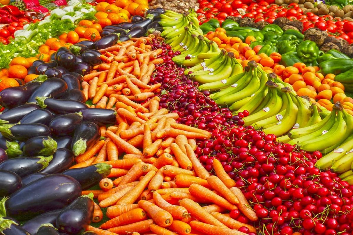 foodtebr
