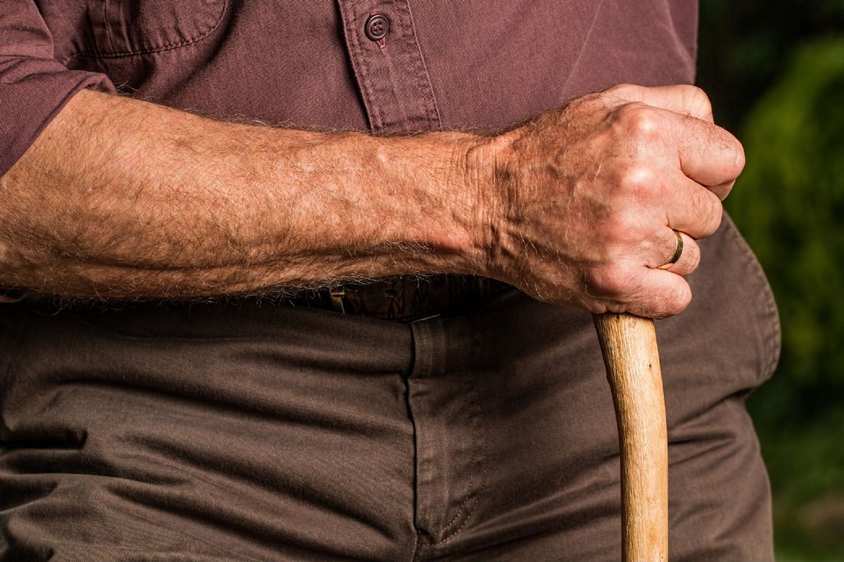 hand walking stick arm elderly 4014