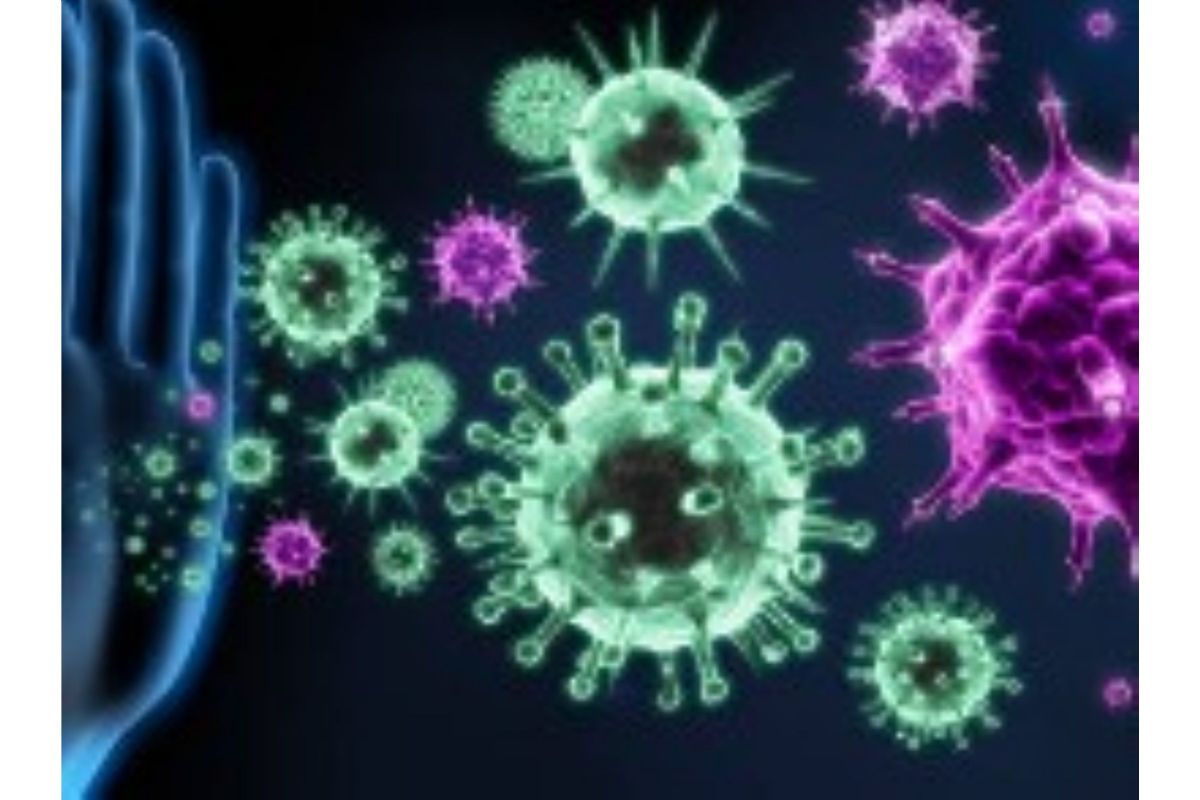 immunita